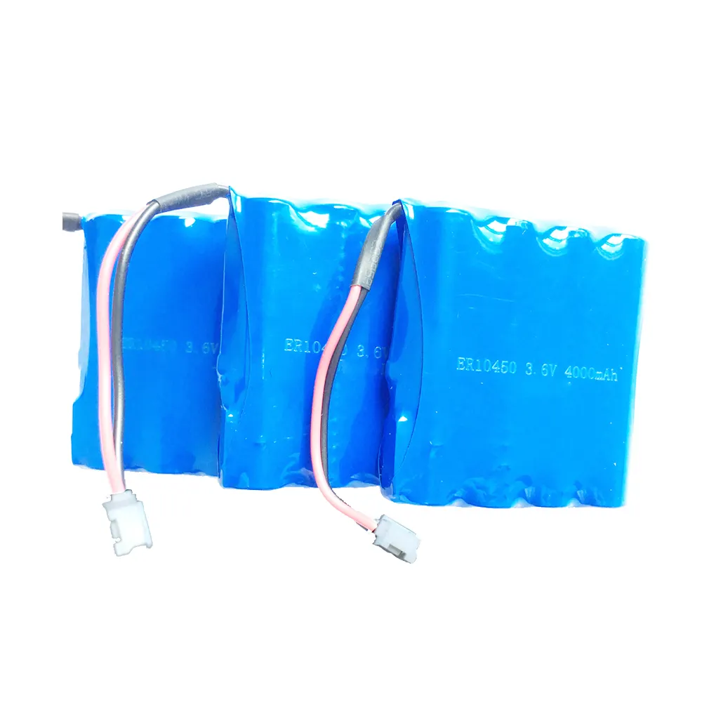 Latest Lithium Ion Primary Battery Lithium Ion Primary Battery Company 4
