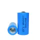 Lithium Primary 3.6V by WECODO 2