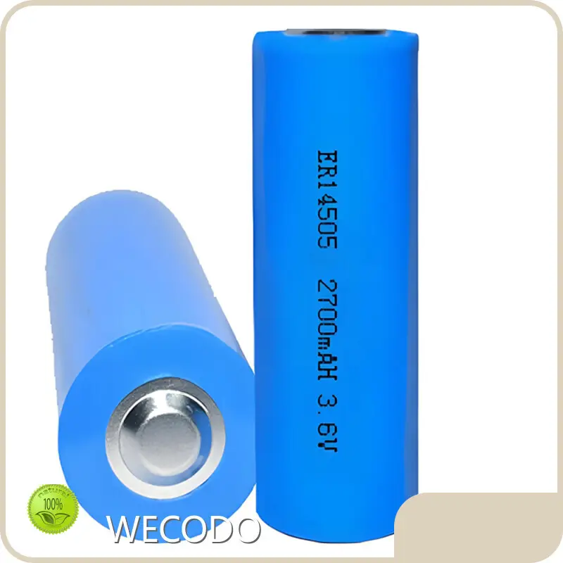 Lithium Battery Companies 55˚C~+85˚C - - WECODO 1
