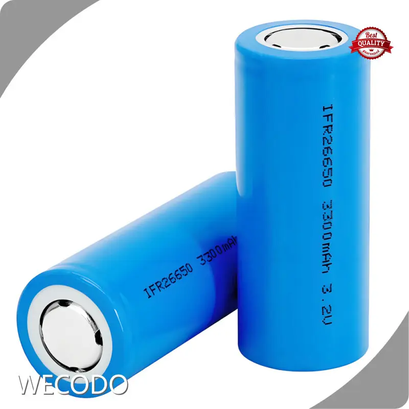 Wholesale Lithium Iron Phosphate Battery 3.2V - - WECODO 1