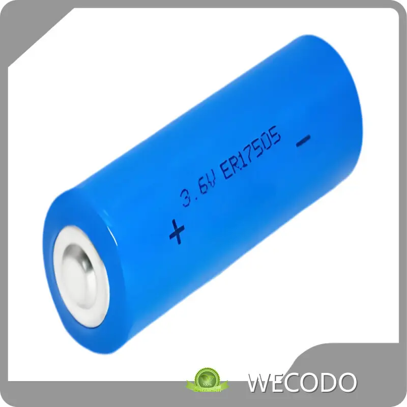 Lithium Thionyl Chloride Battery 32g by WECODO 1