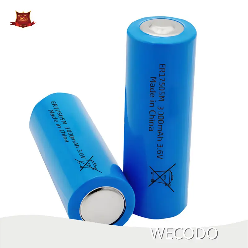 Lithium Battery Companies 3000mAh by WECODO 1