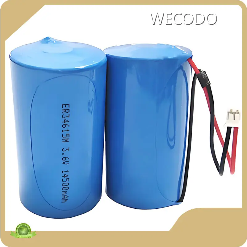 Lithium Thionyl Chloride Battery 3.6 V +30˚C Wholesale - WECODO 1