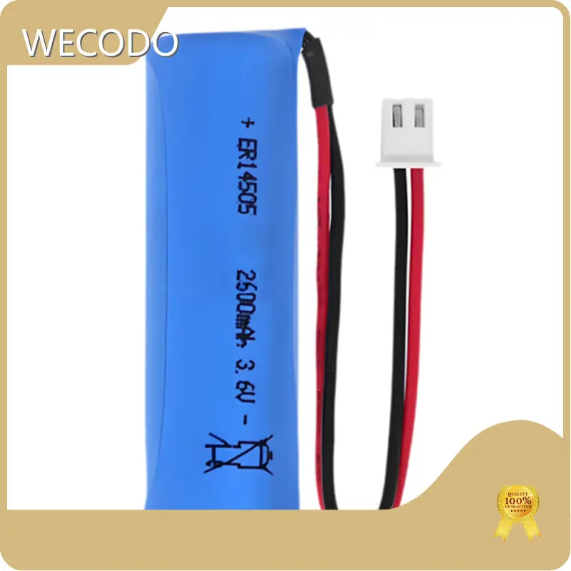 Lithium Thionyl Chloride Aa Battery 17g by WECODO 1