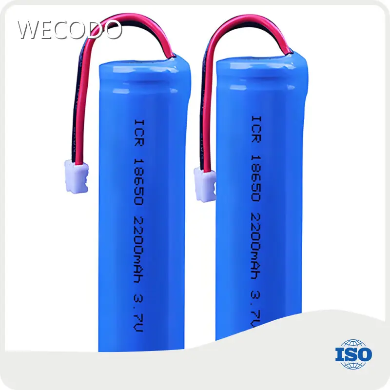 Lithium Battery Suppliers -5~30℃ - - WECODO 1