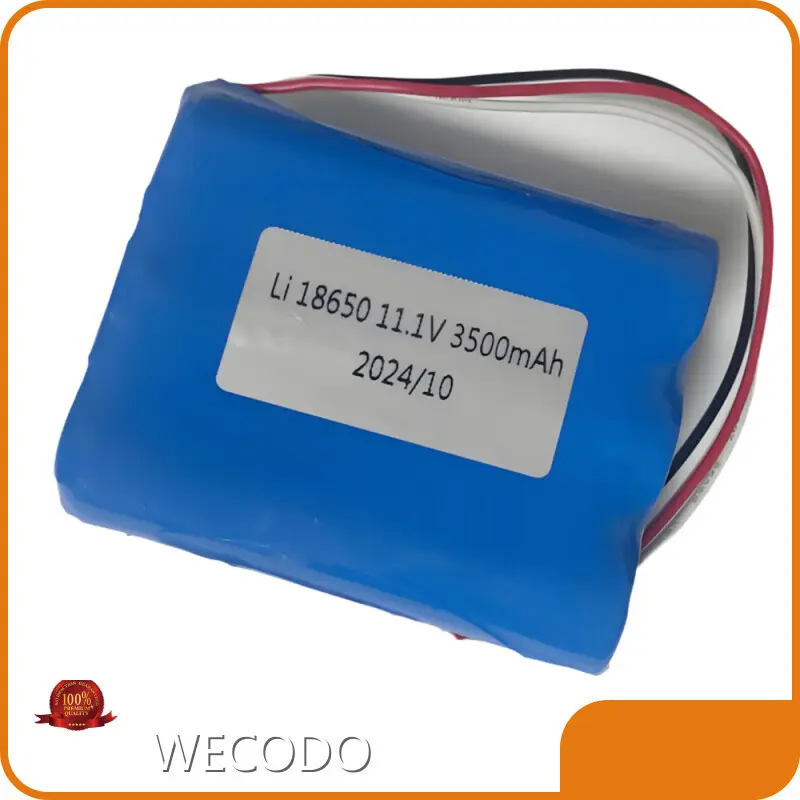 Lithium Battery Companies -5~30℃ by WECODO 1