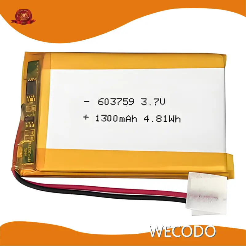 Large Lithium Polymer Battery 15G by WECODO 1