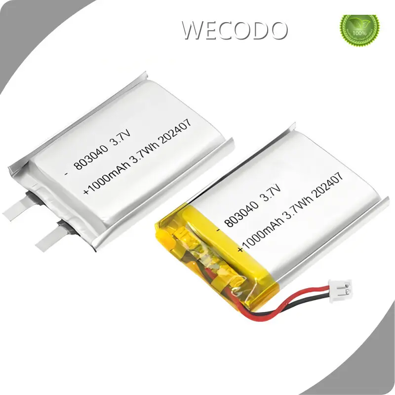 Super Polymer Lithium Ion Battery Wholesale - WECODO 1