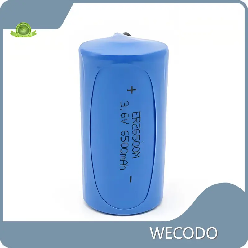 Custom Lithium Battery Manufacturers Wholesale - WECODO 1