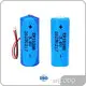Lithium Battery Companies by WECODO 1