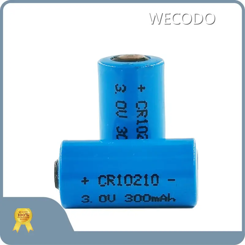 Custom Made Lithium Batteries by WECODO 1