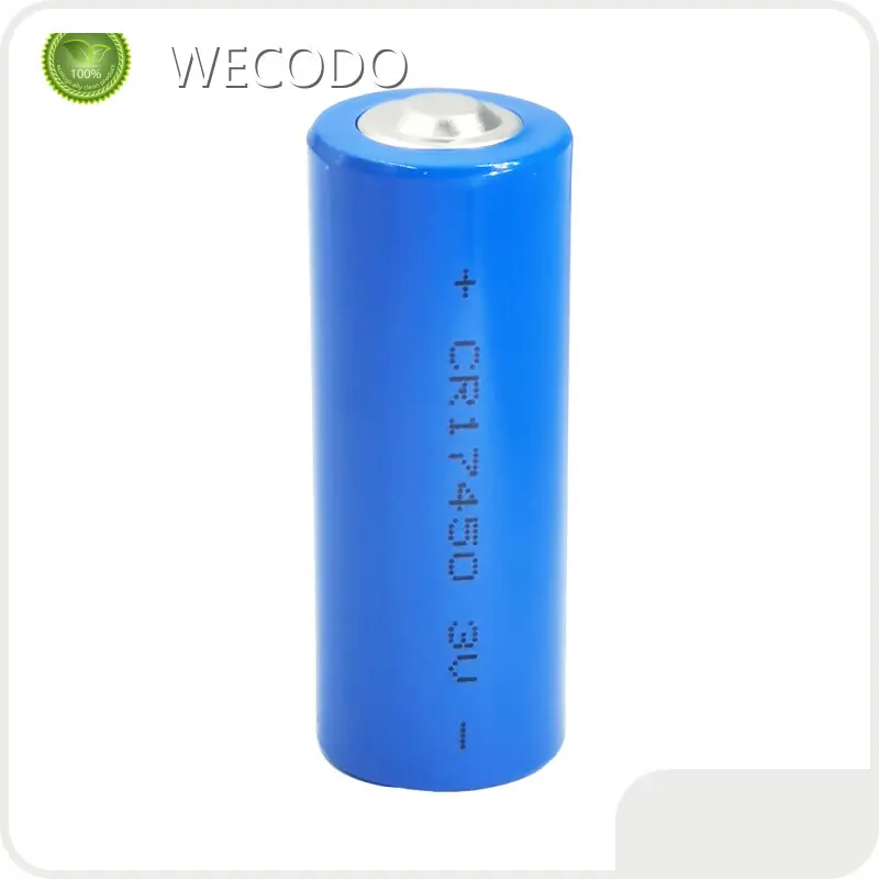 Lithium Battery Manufacturing Companies Wholesale - WECODO 1