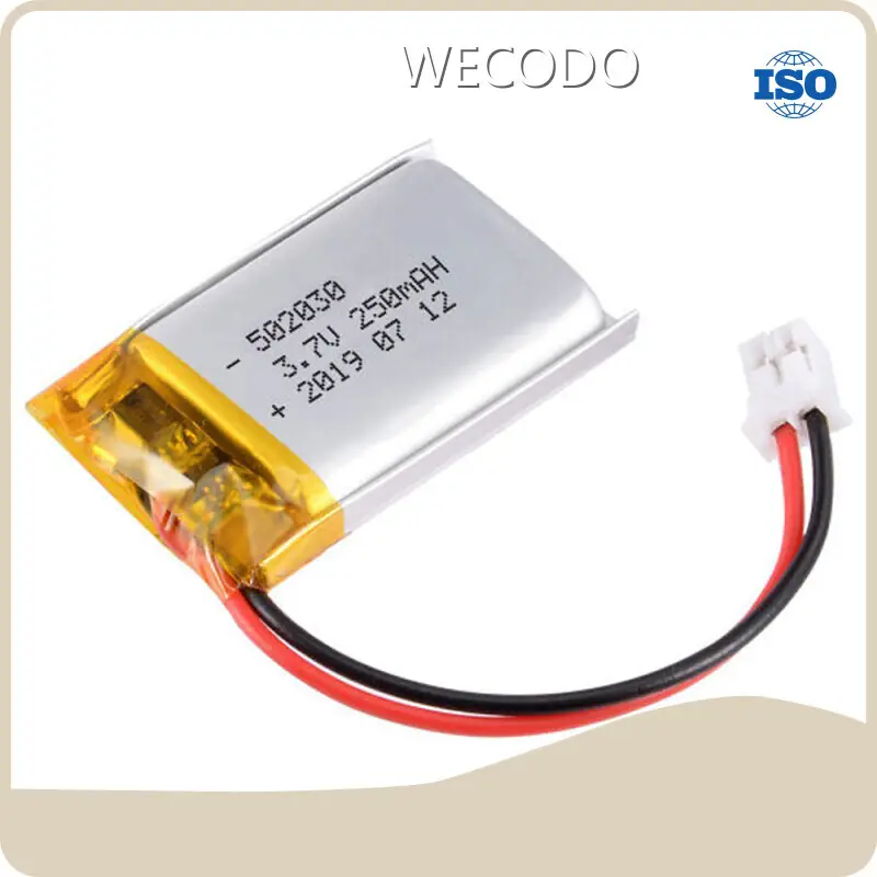 Lithium Ion Polymer Battery Manufacturers -5~30℃ - - WECODO 1