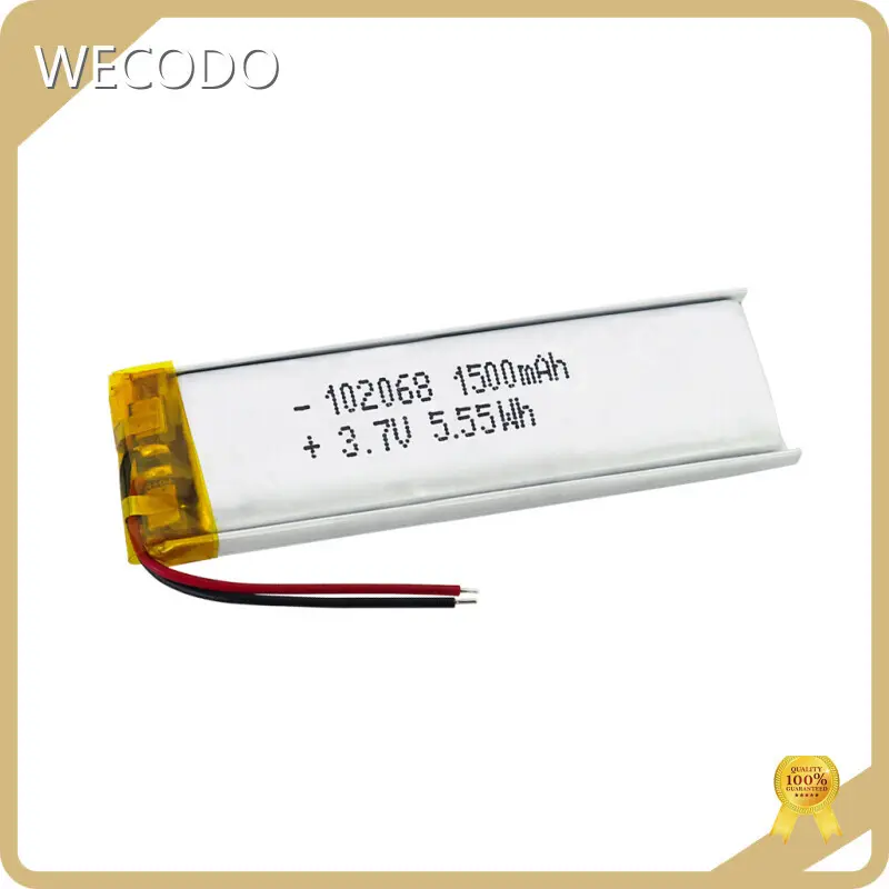 Lithium Ion Polymer Battery Pack 3000mA by WECODO 1