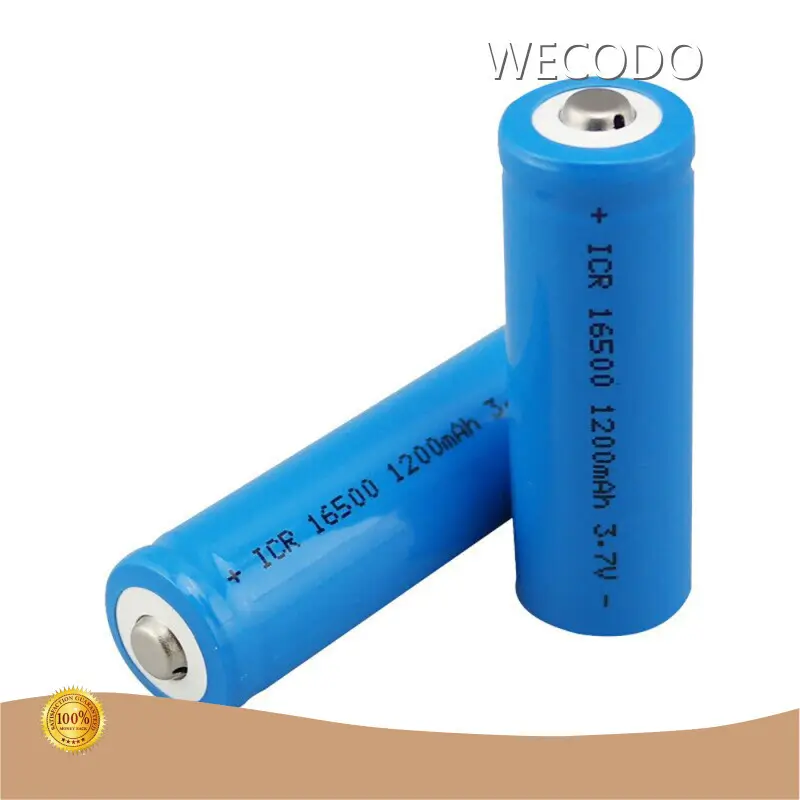 Rechargeable Lithium Battery Pack 1200mA - - WECODO 1