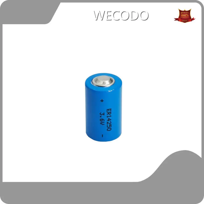 Wholesale Lithium Battery Brands 1