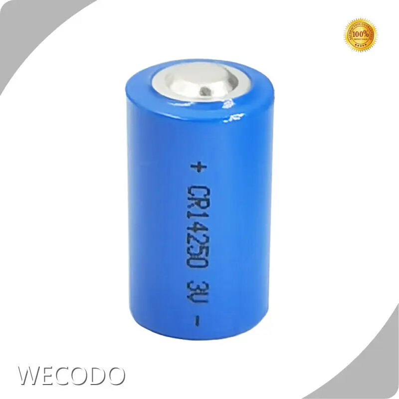 Large Cylindrical Battery by WECODO 1