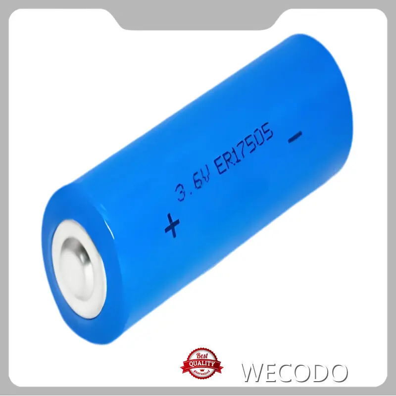 Best Lithium Battery Manufacturer +30˚C Wholesale - WECODO 1