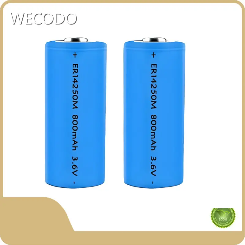 Leading Lithium Battery Companies +30˚C - - WECODO 1