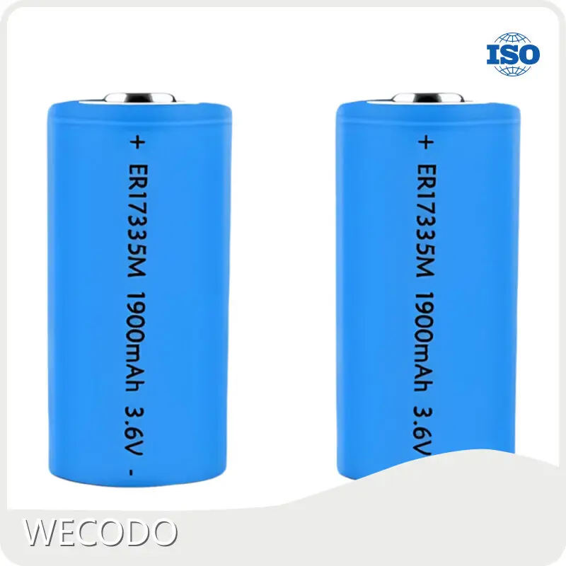Lithium Thionyl Chloride Battery 1000mA Wholesale - WECODO 1
