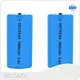 Lithium Thionyl Chloride Battery 1000mA Wholesale - WECODO 1