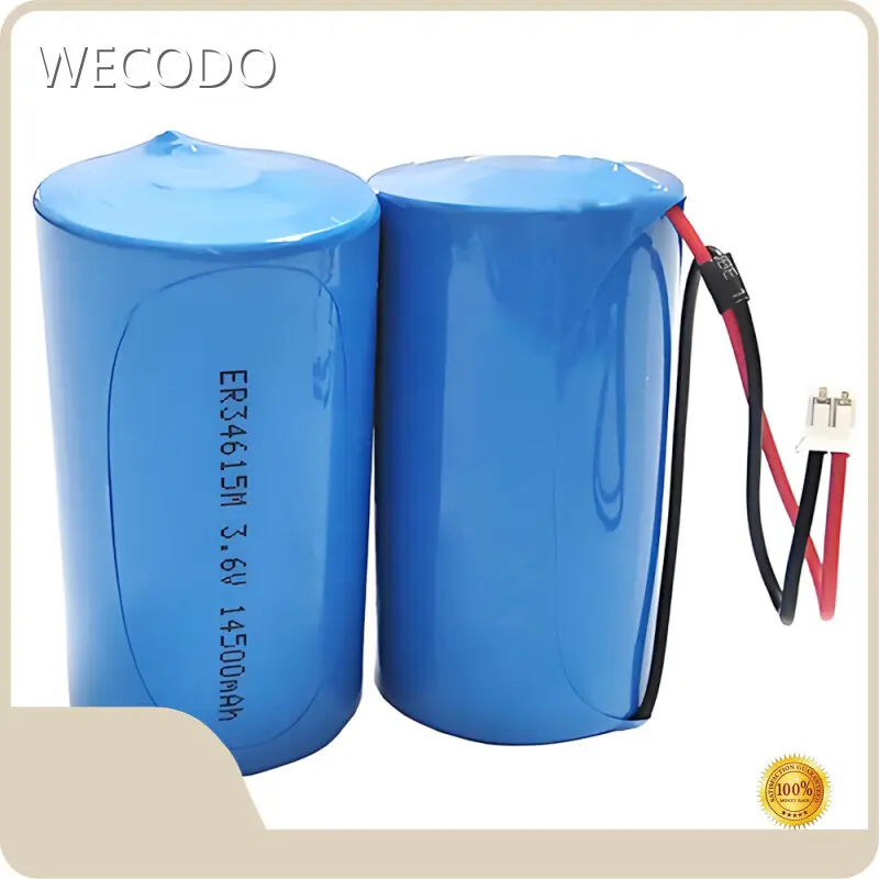 Lithium Thionyl Chloride Battery 2000mA - - WECODO 1