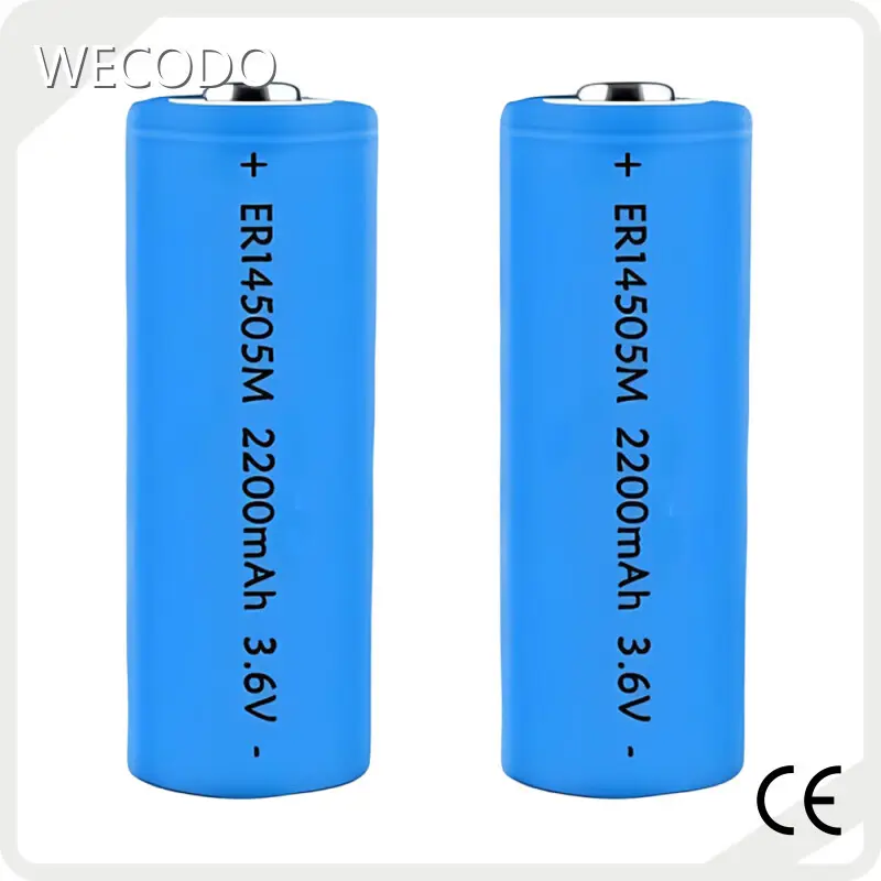 Lithium Thionyl Chloride Battery Manufacturers 200mA Wholesale - WECODO 1