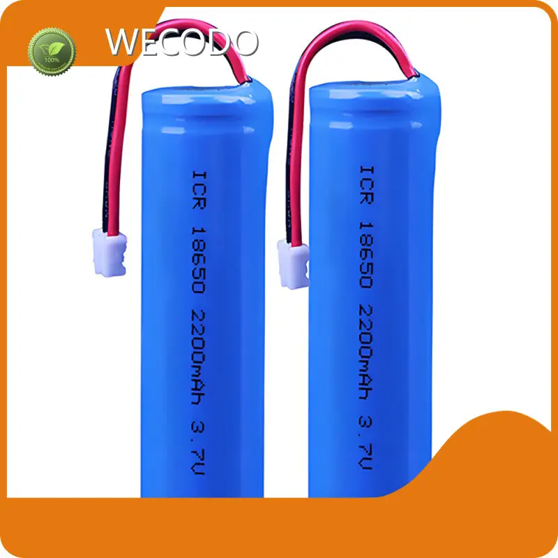 Custom Lithium Ion Battery Manufacturers 3.7V Wholesale - WECODO 1