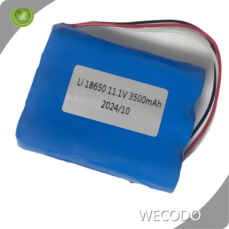 Lithium Ion Battery Suppliers 170g by WECODO 1