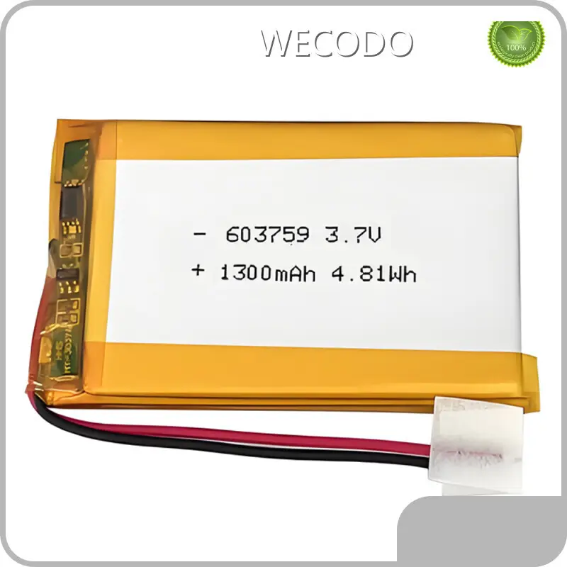 Lithium Ion Polymer Battery Pack 4.2V by WECODO 1