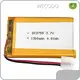 Lithium Ion Polymer Battery Pack 4.2V by WECODO 1