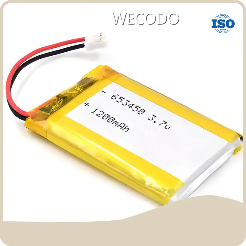 Lithium Battery Brands Wholesale - WECODO-1 1