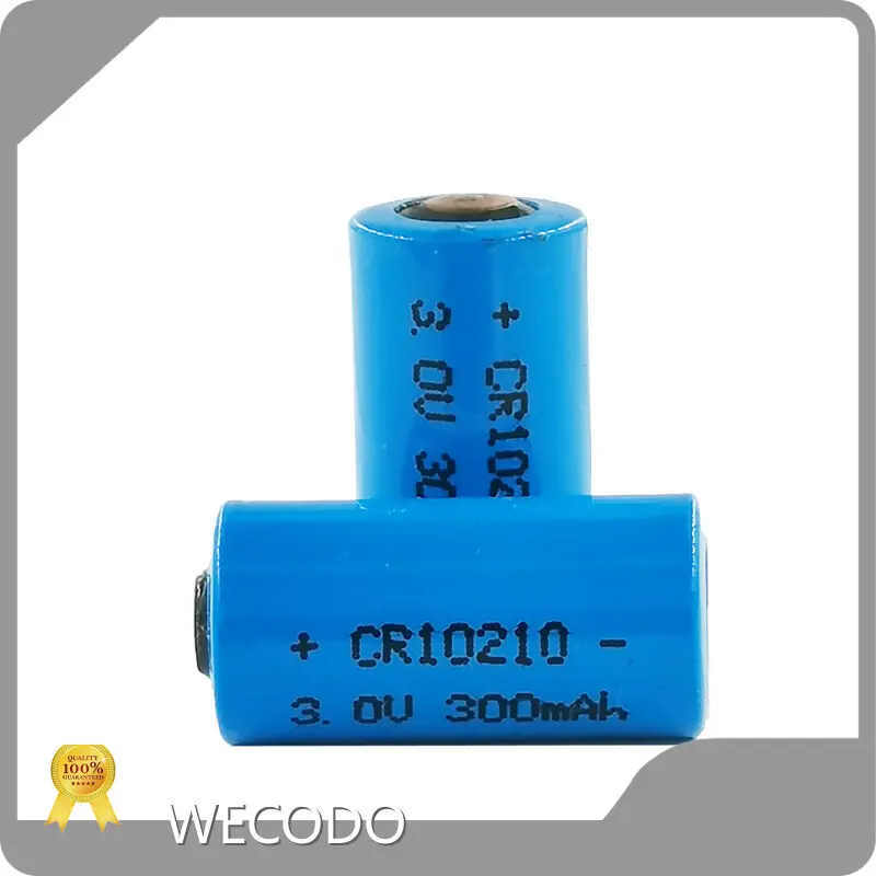 Cylindrical Battery by WECODO 1