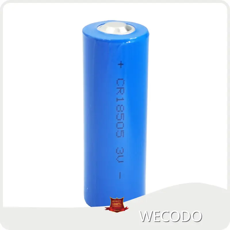 Custom Made Lithium Batteries Wholesale - WECODO 1