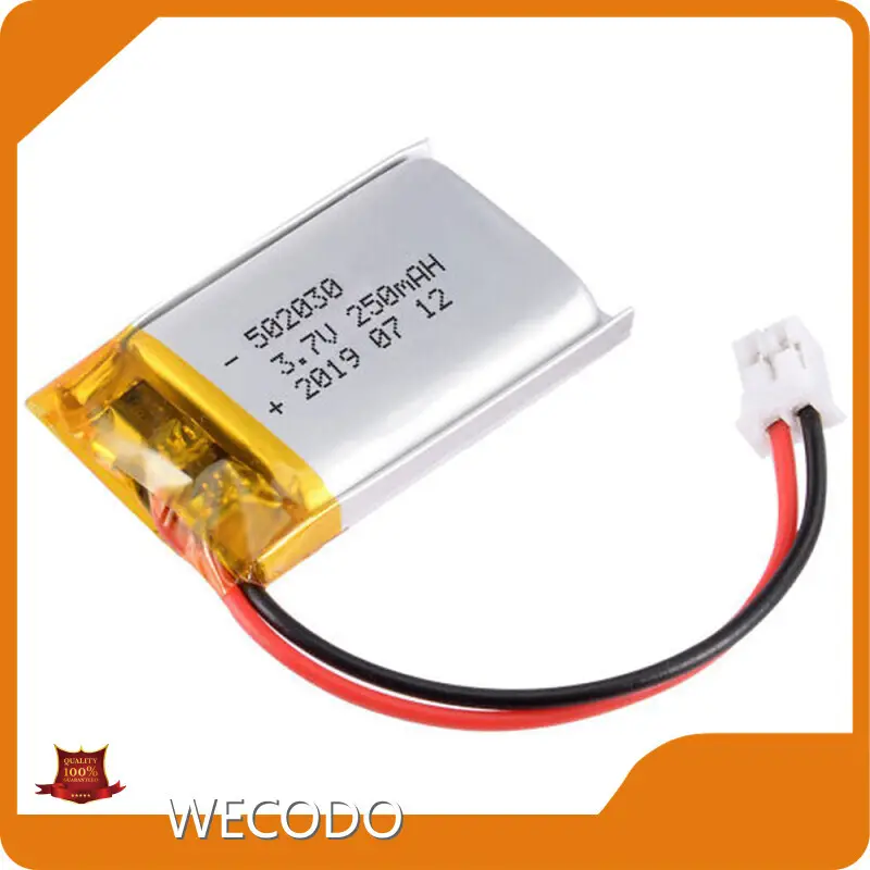 Wholesale Lithium Polymer Battery -5~30℃ Wholesale - WECODO 1