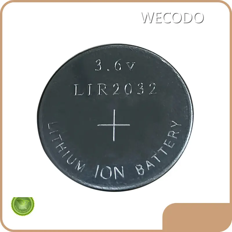 Li Ion Coin Battery for Business 1
