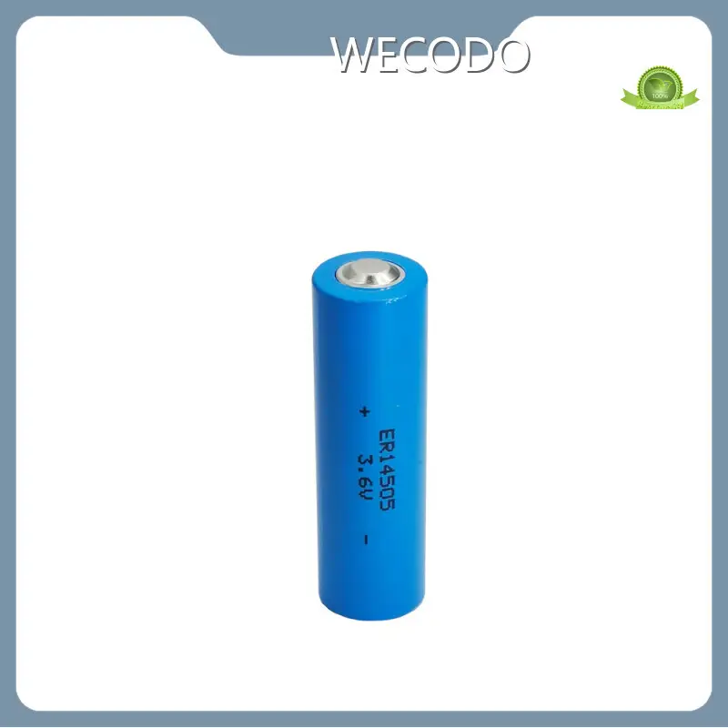 Best Lithium Battery Manufacturer Company 1