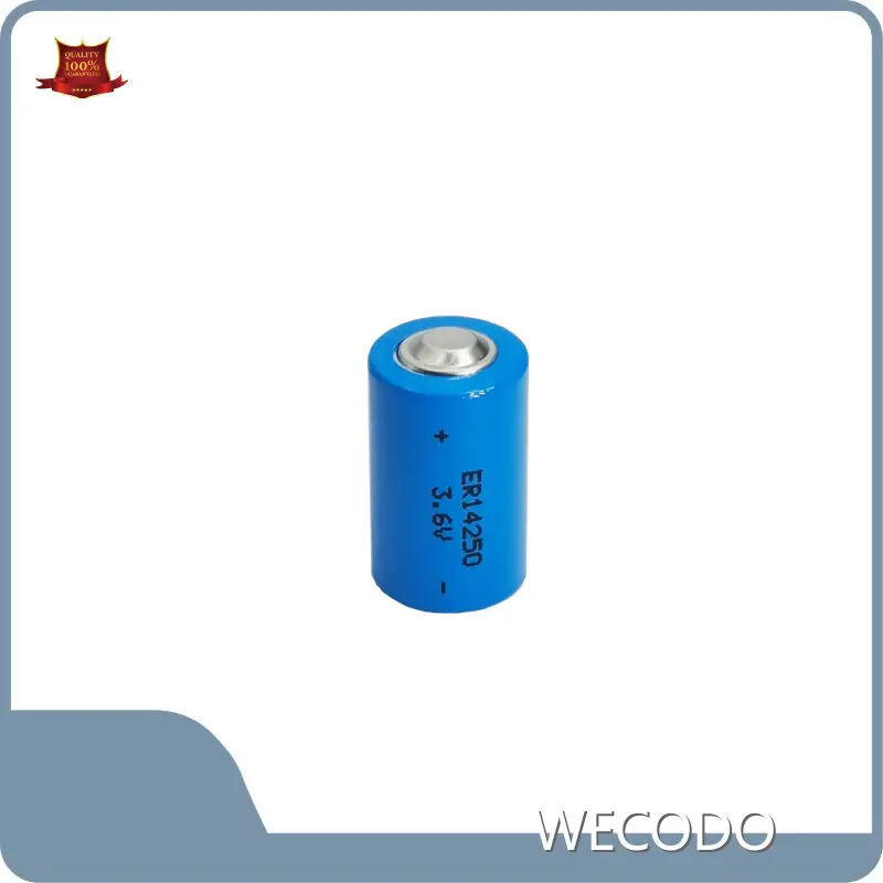 Wholesale Lithium Primary Cells Price List-1 1