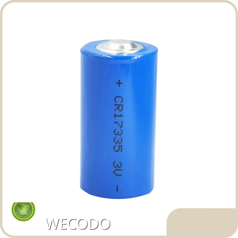Lithium Primary Manufacturers 1
