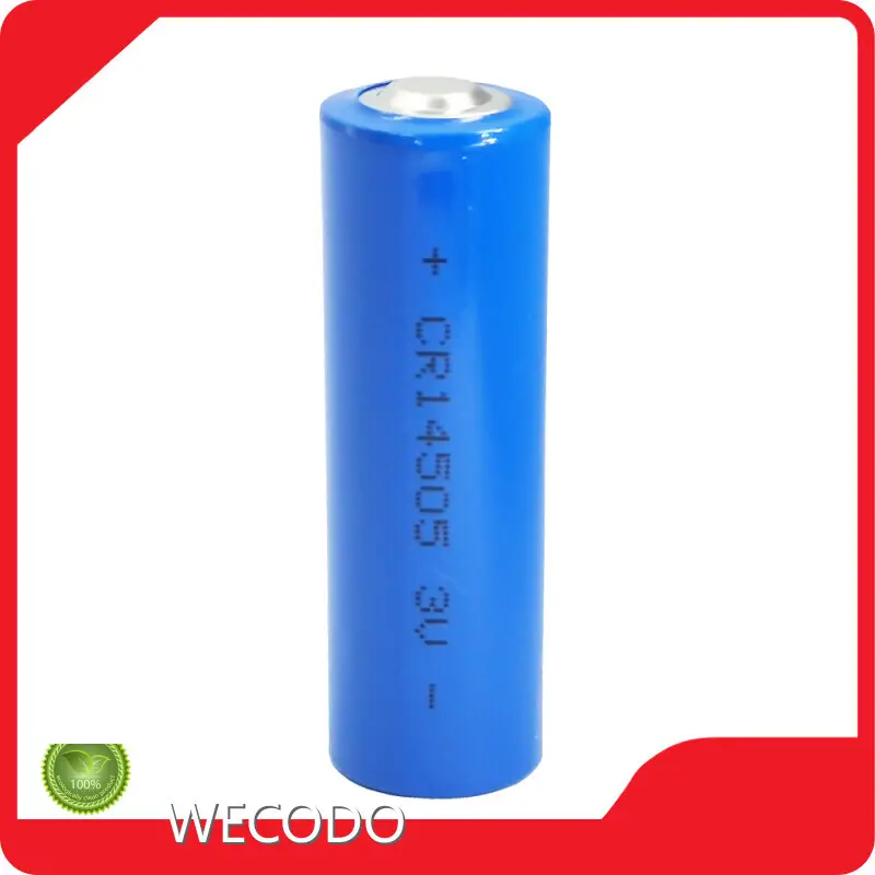 Lithium Ion Battery Manufacturer Factory 1
