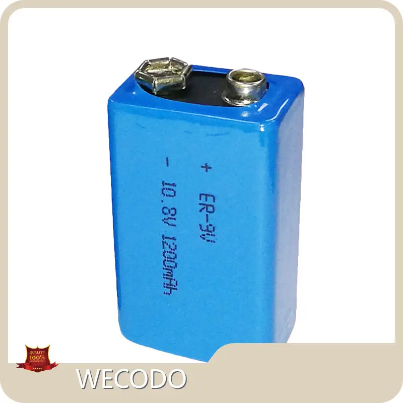 Lithium Battery Manufacturer Wholesale - WECODO 1