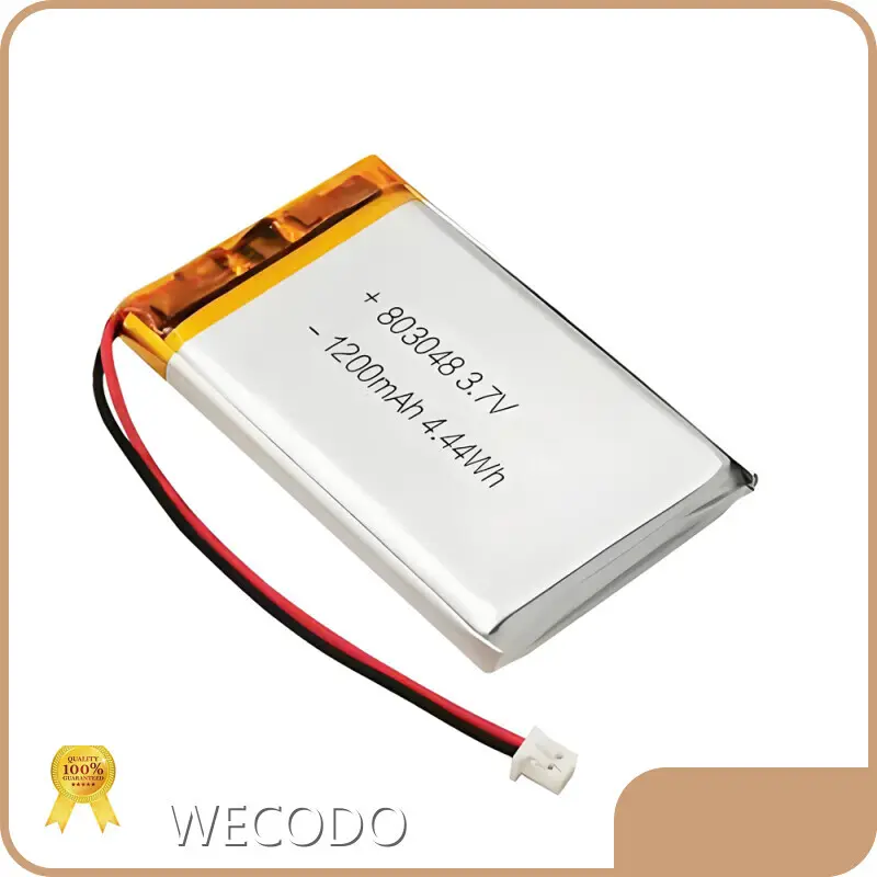 Lithium Polymer Battery Manufacturer 16g - - WECODO 1