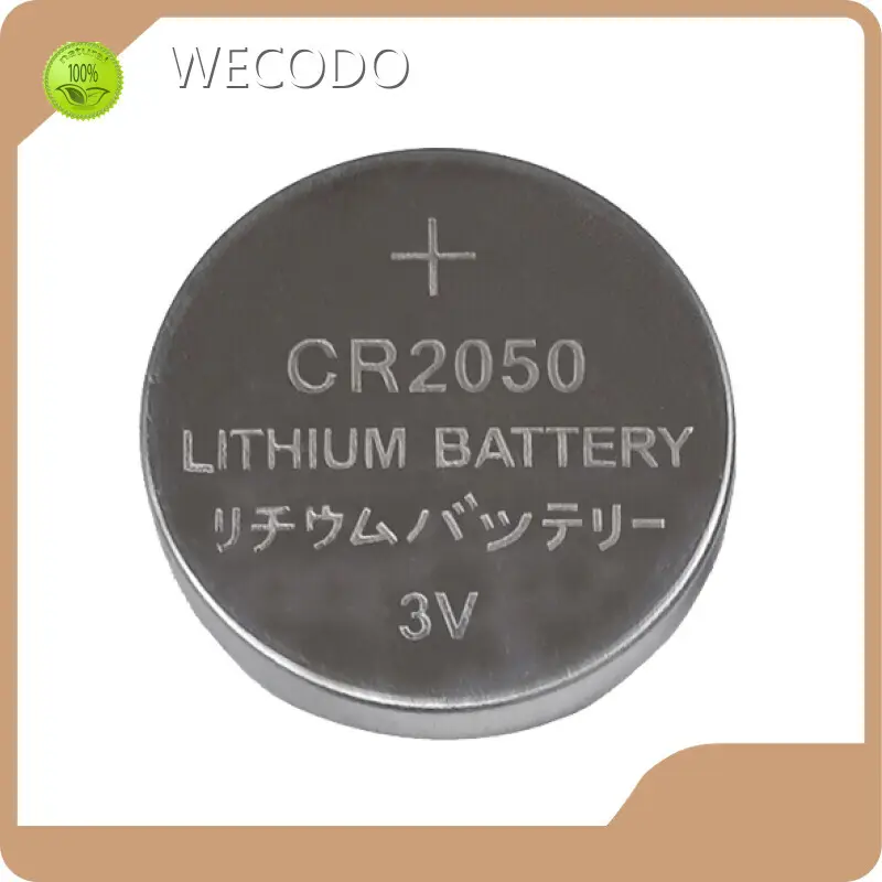 Lithium Ion Battery Manufacturer Wholesale - WECODO 1