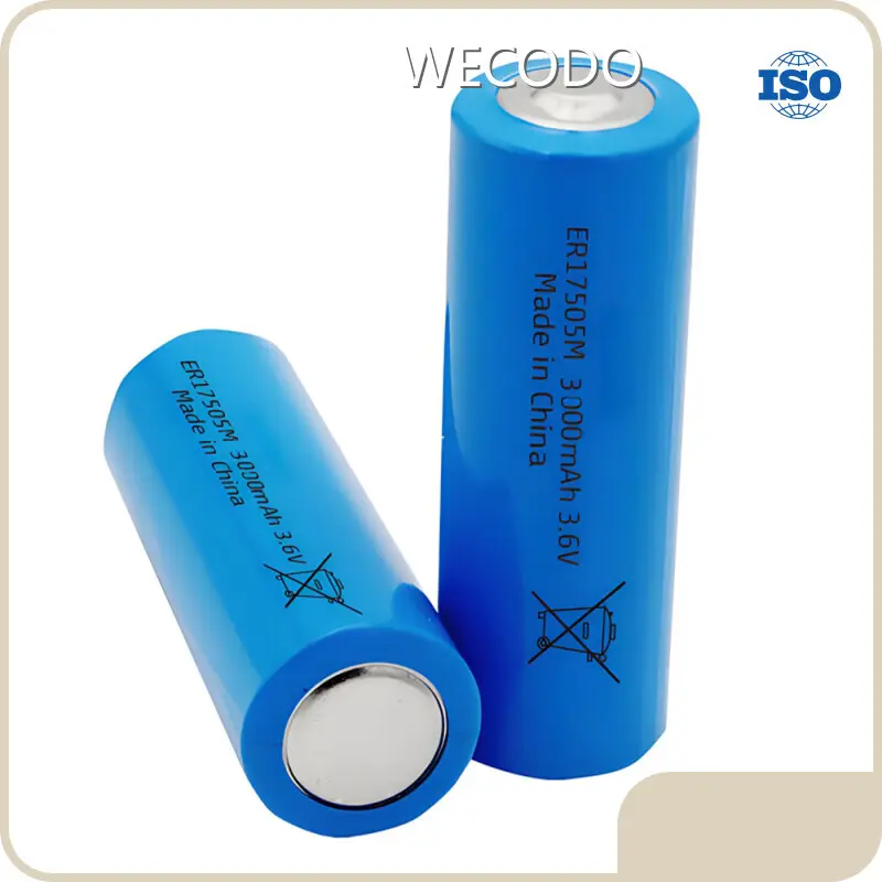 Leading Lithium Battery Companies +30˚C by WECODO 1