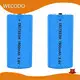 Lithium Thionyl Chloride Battery Manufacturers 20g - - WECODO 1