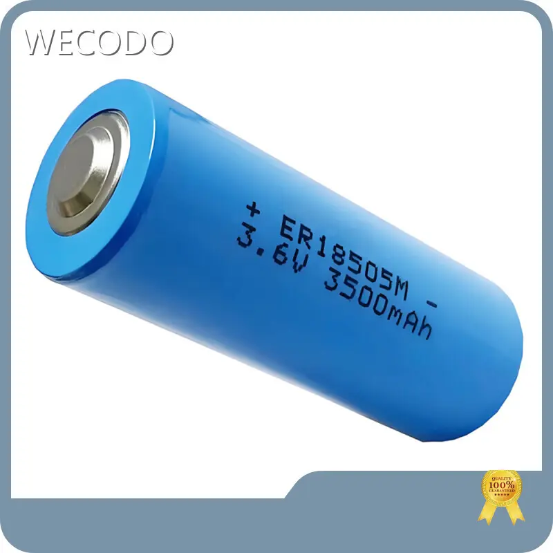 Lithium Primary Battery 3v 3.66V by WECODO 1