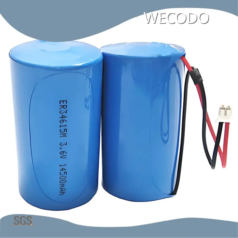Lithium Ion Battery Suppliers -55˚C~+85˚C by WECODO 1