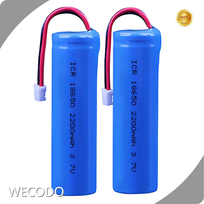 Lithium Ion Battery Supplier 1100mA - - WECODO 1