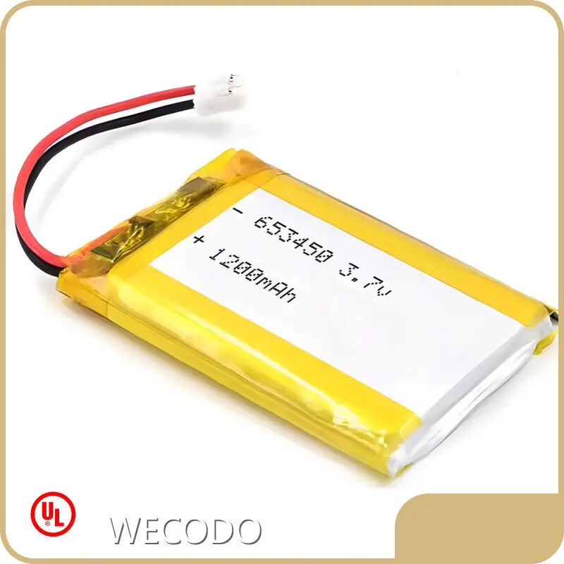 Lithium Polymer Battery Pack by WECODO 1