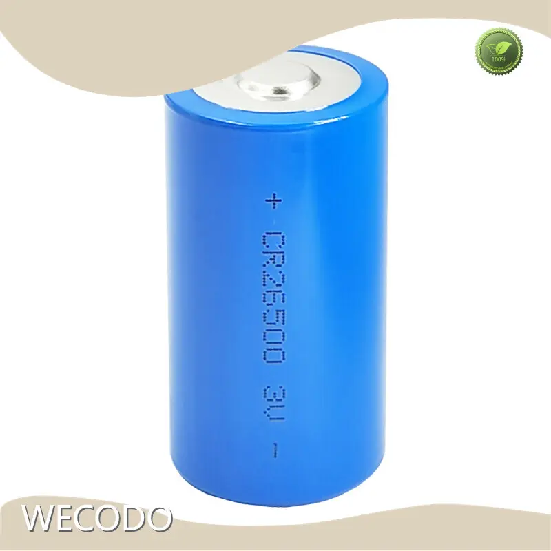 Best Lithium Battery Manufacturer by WECODO-1 1